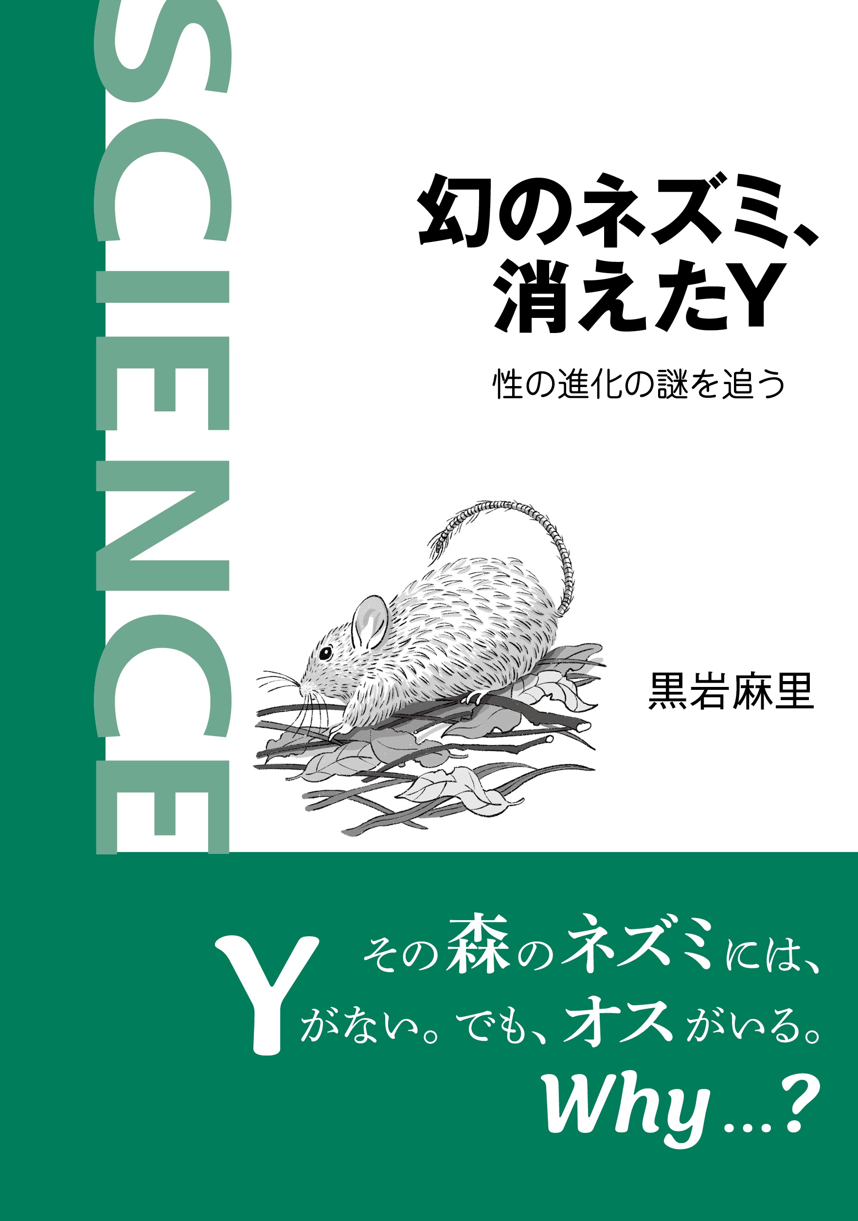 幻のネズミ、消えたY