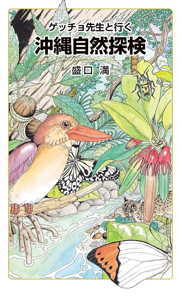 ゲッチョ先生と行く 沖縄自然探検