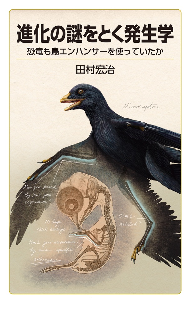 進化の謎をとく発生学