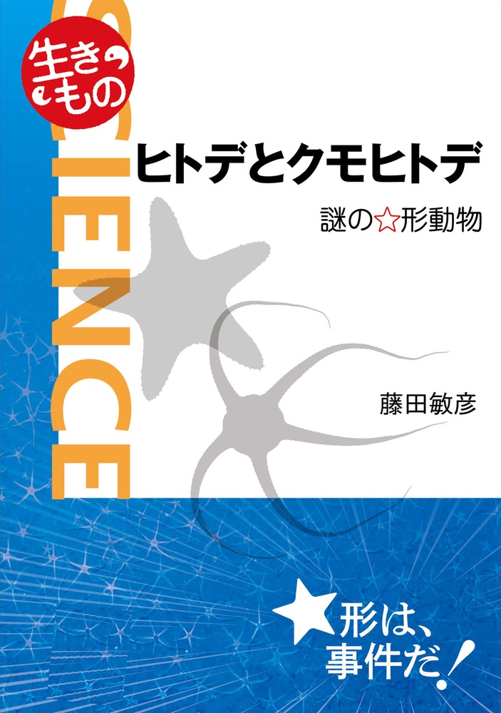 ヒトデとクモヒトデ 謎の☆形動物
