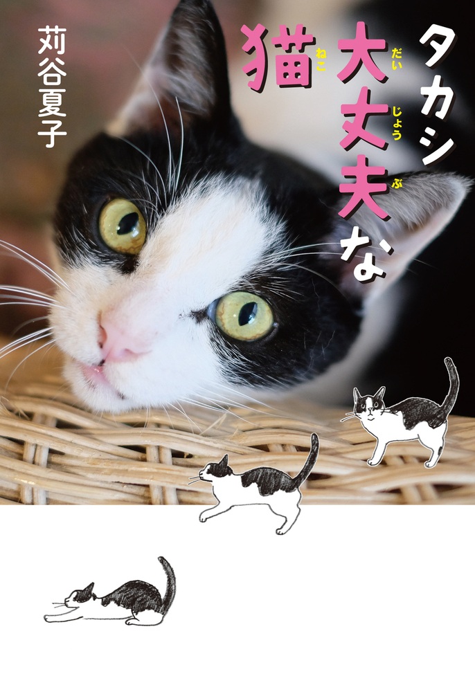 タカシ 大丈夫な猫