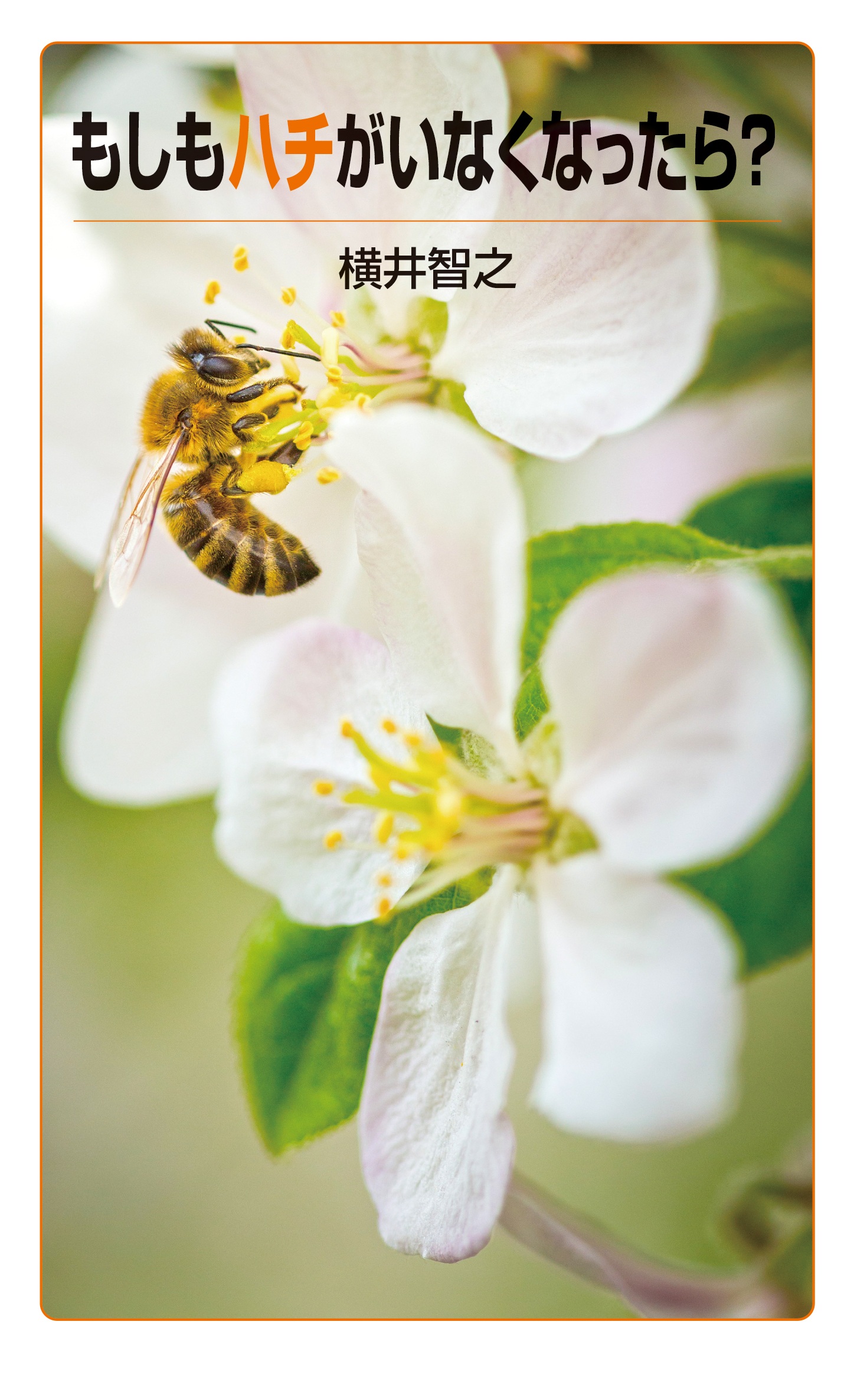 もしもハチがいなくなったら？